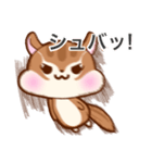 ぴょた＆ぴょこスタンプ（個別スタンプ：13）