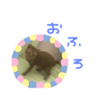 ちくわくんだらりん（個別スタンプ：5）