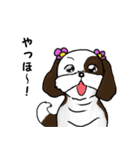 バう子はシーズー犬（個別スタンプ：1）