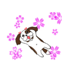 バう子はシーズー犬（個別スタンプ：3）