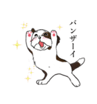 バう子はシーズー犬（個別スタンプ：5）