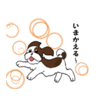 バう子はシーズー犬（個別スタンプ：8）
