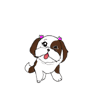 バう子はシーズー犬（個別スタンプ：10）