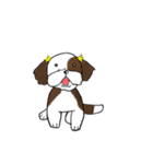 バう子はシーズー犬（個別スタンプ：17）