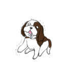 バう子はシーズー犬（個別スタンプ：18）