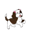 バう子はシーズー犬（個別スタンプ：19）