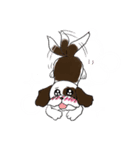 バう子はシーズー犬（個別スタンプ：21）