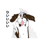 バう子はシーズー犬（個別スタンプ：22）