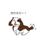 バう子はシーズー犬（個別スタンプ：26）