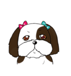 バう子はシーズー犬（個別スタンプ：31）
