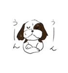 バう子はシーズー犬（個別スタンプ：40）