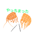 ヨコエビのスタンプ（個別スタンプ：13）
