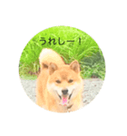 ルイくんのそこはかとない思い（個別スタンプ：1）