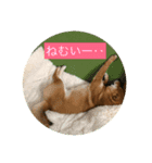 ルイくんのそこはかとない思い（個別スタンプ：2）
