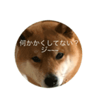 ルイくんのそこはかとない思い（個別スタンプ：7）