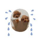 癒しのazukina＆ちびギャングFamily（個別スタンプ：6）