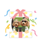 癒しのazukina＆ちびギャングFamily（個別スタンプ：8）
