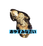 とらちらば挨拶スタンプ（個別スタンプ：6）