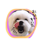 おもちもちmochi（個別スタンプ：7）