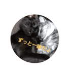 寅と昆布（個別スタンプ：7）