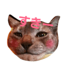 寅と昆布（個別スタンプ：8）