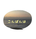 挨拶文24個（個別スタンプ：20）