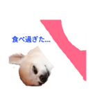 すむちーさん（個別スタンプ：8）