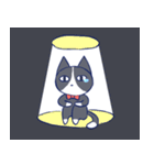 ネコチャン！！（個別スタンプ：14）