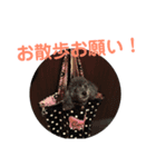 キキちゃんの1日（個別スタンプ：5）