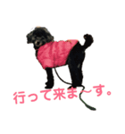 キキちゃんの1日（個別スタンプ：6）