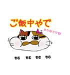 使える！仲良し猫のふわトラみけ（個別スタンプ：16）