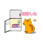 使える！仲良し猫のふわトラみけ（個別スタンプ：25）