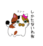 使える！仲良し猫のふわトラみけ（個別スタンプ：31）