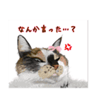 使える！仲良し猫のふわトラみけ（個別スタンプ：40）
