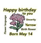 5月、誕生日ごとの誕生花、花言葉。（個別スタンプ：14）