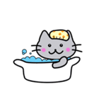 バイリンガルキャット（個別スタンプ：20）