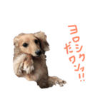 りっつんスタンプ2（個別スタンプ：4）
