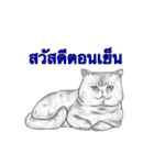 猫スタンプ【タイ語】（個別スタンプ：2）