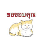 猫スタンプ【タイ語】（個別スタンプ：5）