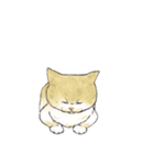 猫スタンプ【タイ語】（個別スタンプ：6）