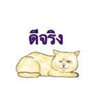 猫スタンプ【タイ語】（個別スタンプ：9）