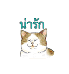 猫スタンプ【タイ語】（個別スタンプ：12）