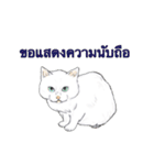 猫スタンプ【タイ語】（個別スタンプ：14）