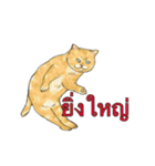 猫スタンプ【タイ語】（個別スタンプ：15）