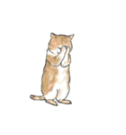 猫スタンプ【タイ語】（個別スタンプ：17）