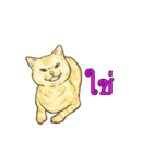 猫スタンプ【タイ語】（個別スタンプ：18）