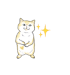 猫スタンプ【タイ語】（個別スタンプ：19）