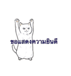 猫スタンプ【タイ語】（個別スタンプ：20）
