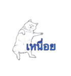 猫スタンプ【タイ語】（個別スタンプ：22）