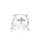 猫スタンプ【タイ語】（個別スタンプ：29）